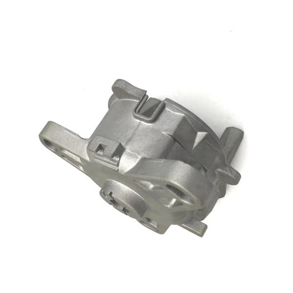 Customized Aluminum Die-Casting Process for Professional Auto Parts Shell Finishing