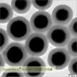 Viral RNA Extraction Silica Magnetic Beads 500nm 10 mg / mL 50 mL