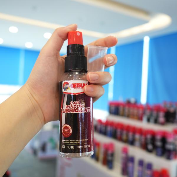GETSUN Car Glass Window Track Lubricant Spray Noise Reduction