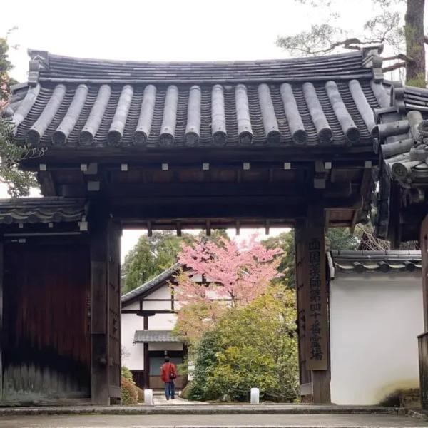 Espessura tradicional 10 mm Telhas de telhado japonesas Material de telhado Alta resistência ao vento
