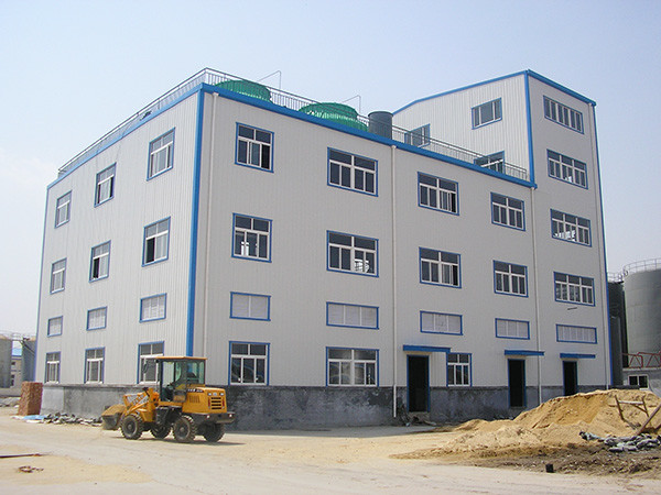Q235B Q355B Industrial Steel Structure Workshop Building Customized