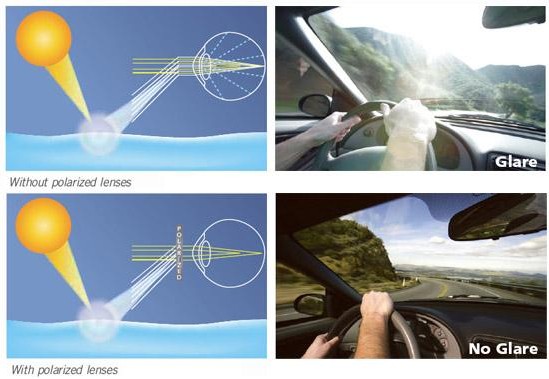 CR39 Uncoated Polarized Eyeglass Lenses Anti UV 1.499 Index 80mm Diameter