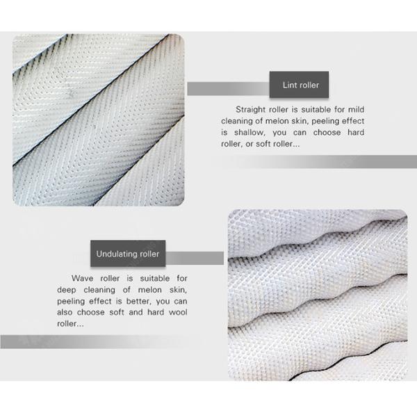 Ginger Potato Carrot Taro Sweet potato Yam Saiko persimmon Papaya Brush cleaning and peeling machine Wash Washer Washing Cleaning Dryer Frozen processing production Destoning