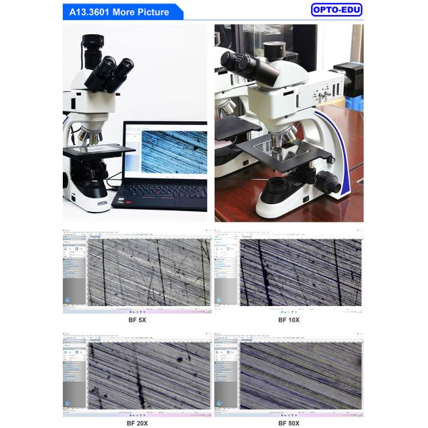 OPTO EDU A13.3601 Binocular Metallurgical Microscope Transmit And Reflect Light
