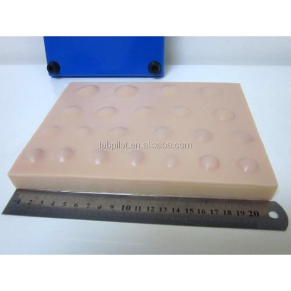 Vivid Pathological Skin Disease Lesions Model for Medical Teaching Suture Pad