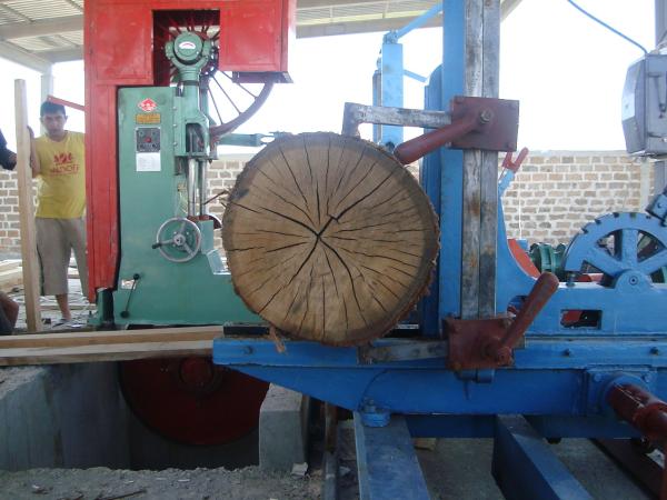 Prancha de madeira que faz a máquina!!! Máquina de corte vertical da serra da faixa MJ3310-Z5000 para o corte de madeira