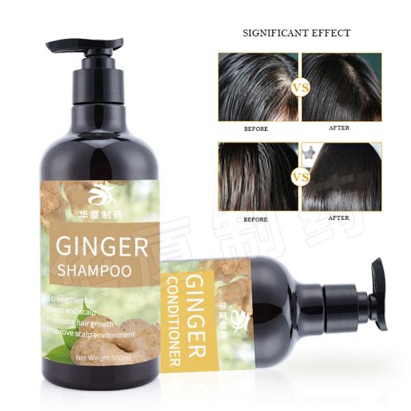 Herbal Beauty Hair Shampoo Dandruff Hair Loss Hair Growth Ginger Shampoo