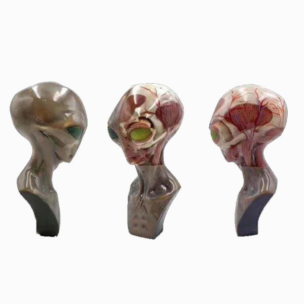 Servicio de impresión 3D multicolor de alta resolución. Aplicaciones médicas con proceso SLM.