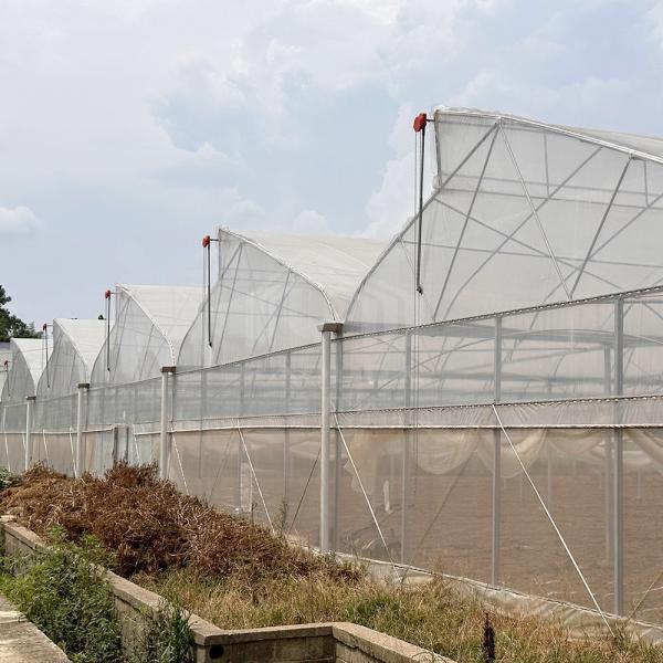 Sistema de controlo de ventilação de refrigeração de áreas tropicais Teado de dente de serra Multi-espaço Poli Estufas