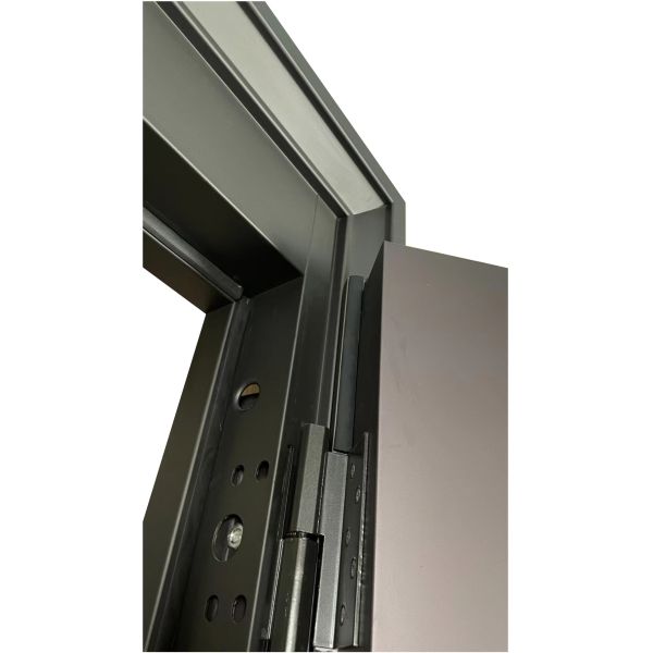 Sturdy Steel Exterior Entrance Door For Office Apartment Exteriors