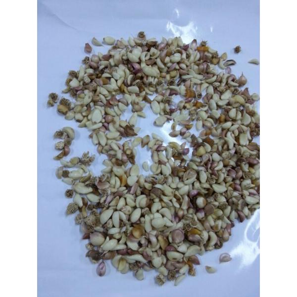 Машина для сортировки цвета зерна FPGA и DSP с высокоскоростной технологией процессора EPGA