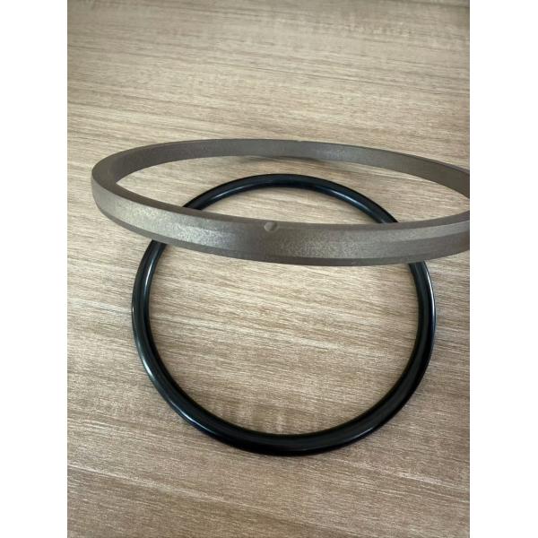 Silicone Clear SPGO Seal Chemical Resistance Round Wear Resistant PTFE