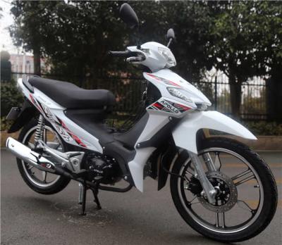 Lion 110cc Cub Motorcycle Riders White Color 95 kg Weight Dium Brake