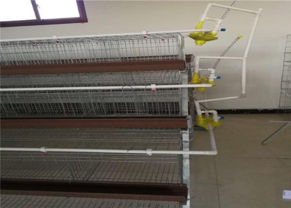 1.88m , 2m , 2.15m , 3m Length Battery Cage For Layers Design For Mozambique