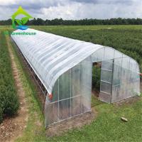 Caminhada econômica de 200 Mircon Polyfilm na estufa do túnel para o tomate