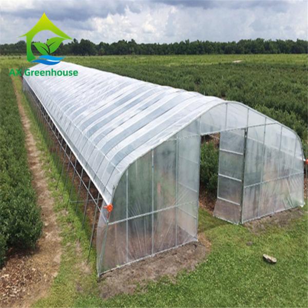 Filtro de plástico PE resistente ao vento Estufas comerciais de túnel poli para plantação de frutas