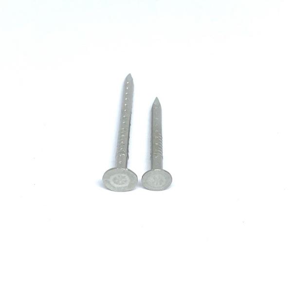 2.8X30MM 2.8X40MM rapetassent les clous creux de la jambe solides solubles de la tête quatre pour la fixation