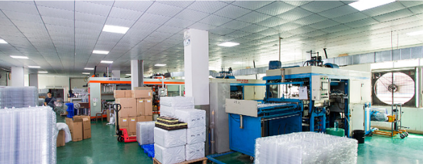 Transparent PVC 10 Holes Egg Packaging Tray Premium Eggs Durable Packaging Box