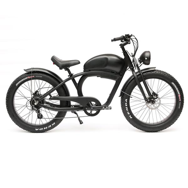 Long Range 48V 750W Rear Hub Motor Electric Motorbike with 48V 20Ah Lithium Battery