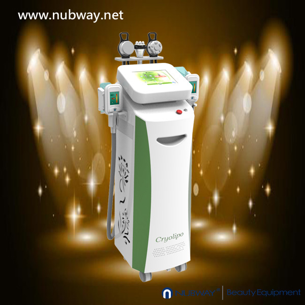 Hottest sale!!! 5 handles multifunctional slimming fat removal cryolipolysis machine