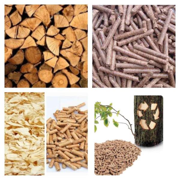 CE en bois en bois de machine de production de granule du moulin 380V de granule de matrice de l'appartement 500kg/H