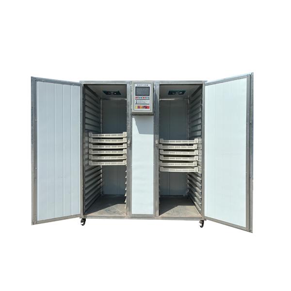 Horno industrial de secado eléctrico para rodajas de limón y cebolla, tipo bandeja, para procesamiento de alimentos