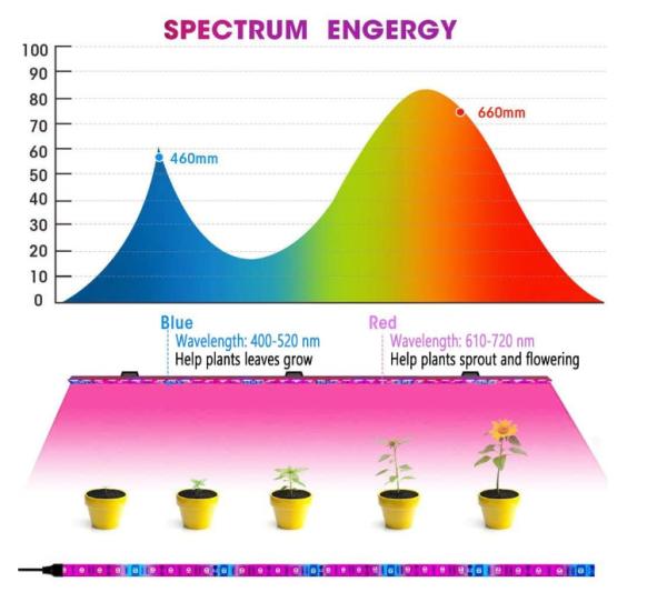5V PLANT LED Grow Light Strips,Waterproof Full Spectrum Plant Grow Light, USB 16ft 300LEDs