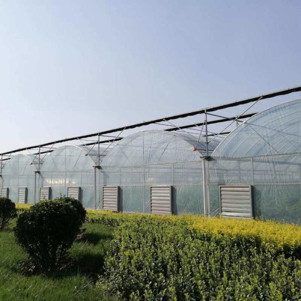 10000m2 Big Span Agriculture Multi Span Greenhouse Plastic Film Green House For Hydroponic Growing