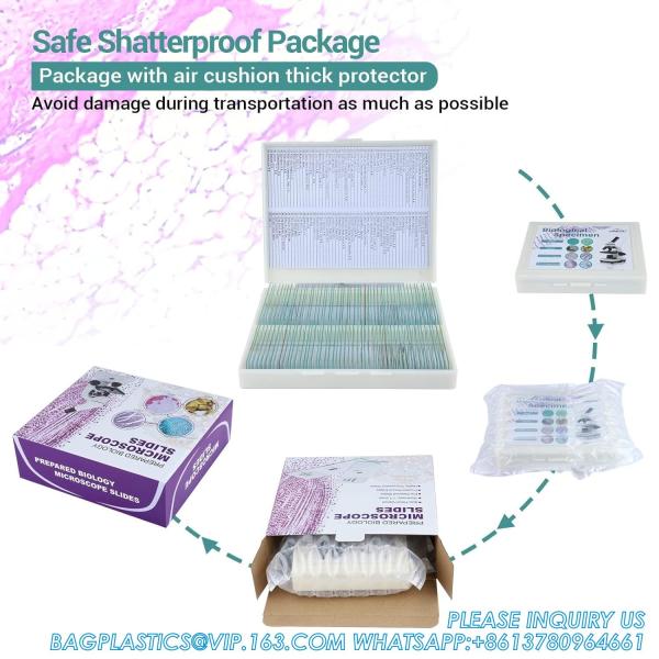 Microscope Slides With Specimens For Kids, Prepared Microscope Slides Plants Animals Insects, Microscope Slides
