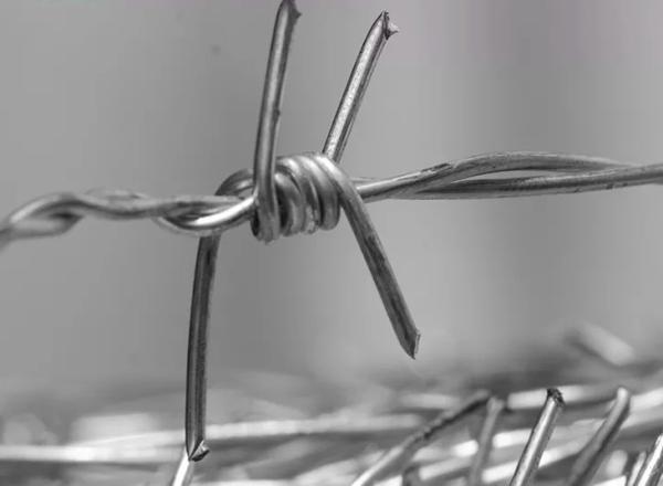 Security Fence 400m 500m Hot Dipped Galvanized Barbed Wire 5kg 50kg Per Coil