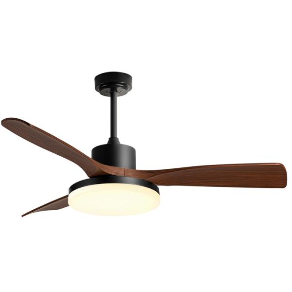 Modern 42/52 pouces ventilateur de plafond lumière 3 lames DC moteur télécommande commutateur corps de lampe en fer Noir/blanc Couleur