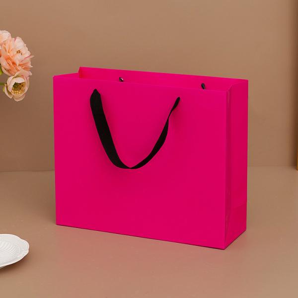Customized Printing Custom Paper Gift Bags for Your Business Needs