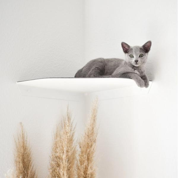 Многофункциональная стеклянная полка для кошек из стали Стенная мебель Кошачий кошачий гамак Кровать Металлический катальник