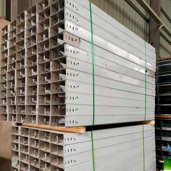 Plateau métallique personnalisé pour le câblage en argent pour la gestion organisée des câbles 50 mm-1000 mm