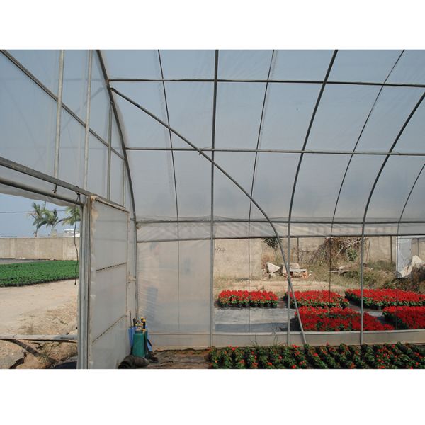 Durable Poly Small Agricultural Greenhouse Tunnel Roses Professional Flower Growing UV-Resistant PE Film Cover Ventilation