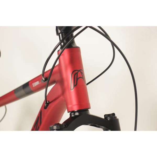 21 Speed Adult Mountain Bike Carbon Steel Dual Disc Brake Shimano Tourney