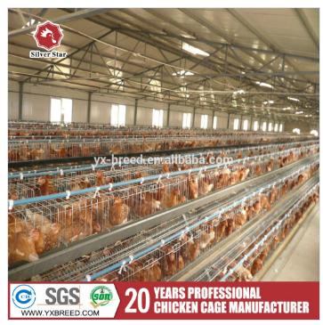 Poultry 90 Chickens / Set Layer Chicken Cage For Chicken Feeding