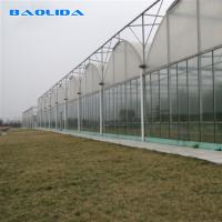Flores que plantam estufa automática do período do filme plástico da agricultura 9m a multi