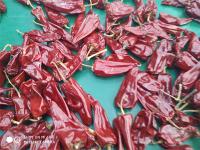 A colheita nova Yidu secou a certificação de Chili With Stem HACCP