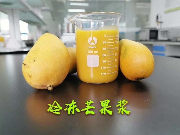 220 l Multi Layer Aseptic Bags Package Mango Pulp High Standard Barrier