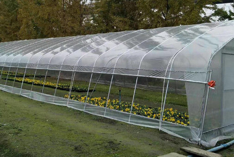 Walk In Poly Tunnel Greenhouse With HDPE Covering Rainfall 150mm/H