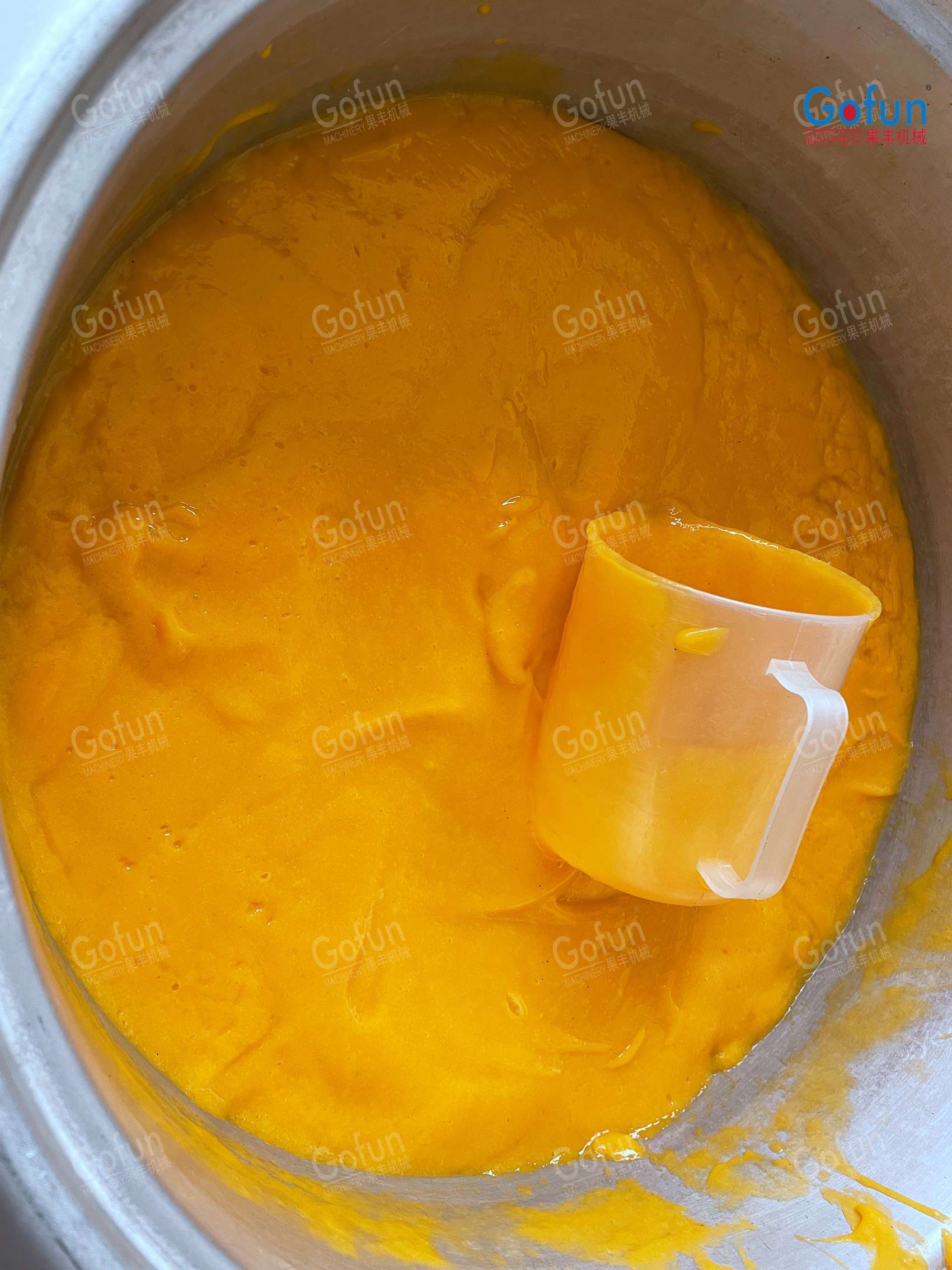 Mango Puree Processing Line | Complete Factory Machinery & Aseptic Filling System