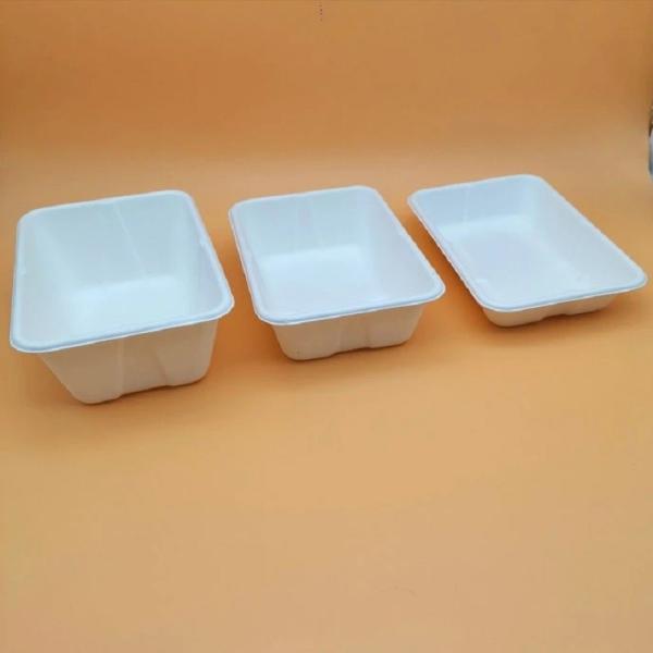 Caixa de bagaço de cana-de-açúcar 100 por cento compostável recipiente para alimentos com tampas