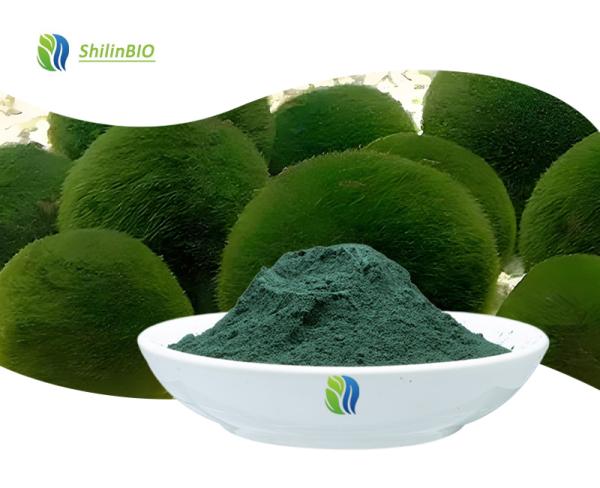 Pure Chlorella Powder