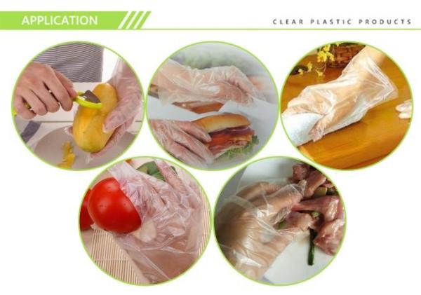 Biodegradable Disposable Transparent Clear Plastic  Gloves Available