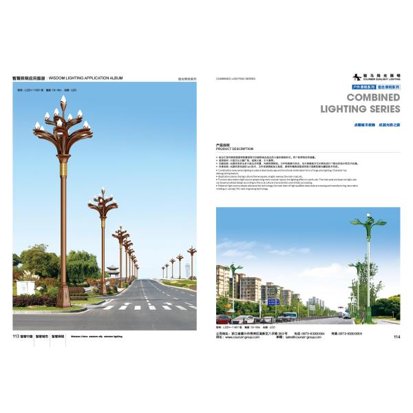 Decorative LED Pole Street Lights 4500K 160lm/W 100-265V high light pole led lamp