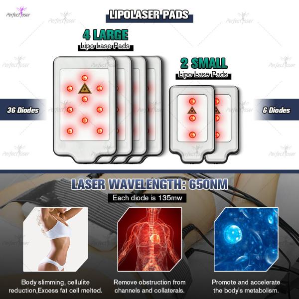 360 Cryolipolysis уменьшая контур тела потери веса Coolsculpting машины