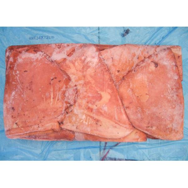 Frozen Giant Sea Squid 20 Kg Net Weight Dosidicus Gigas Bqf Size 300g Up