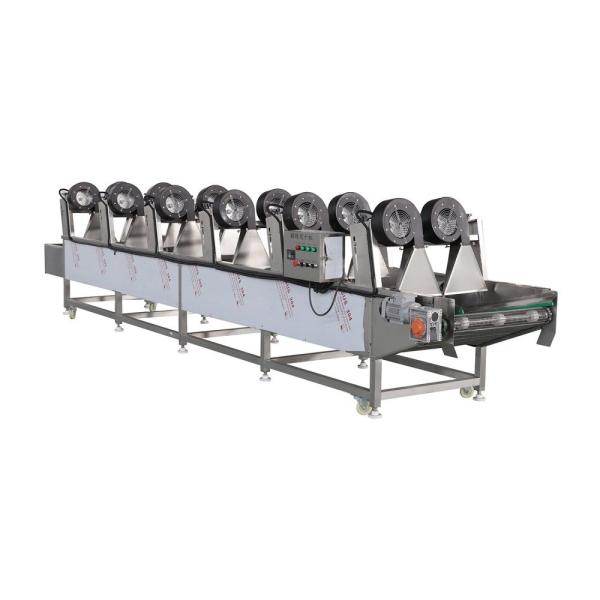 Electric Fruit and Vegetable Drying Machine for Uasge 400kg Capacity Stainless Steel