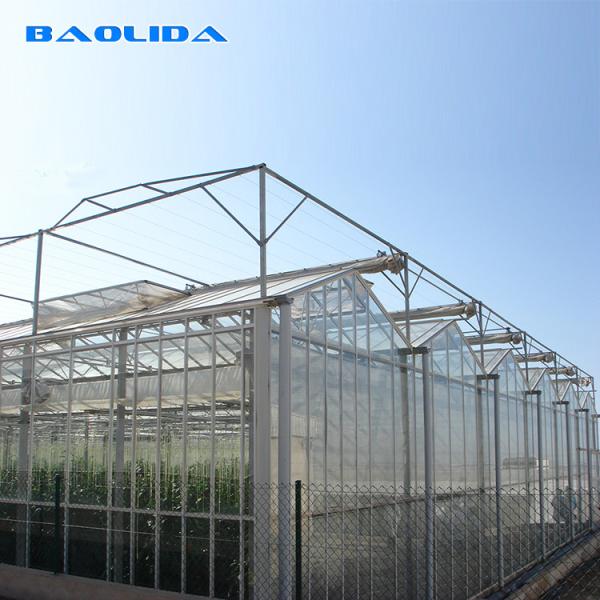 Hydroponics Polyethylene Film Greenhouse Strawberry Multispan Greenhouse